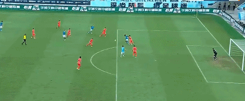 但泽卡留在, 表现